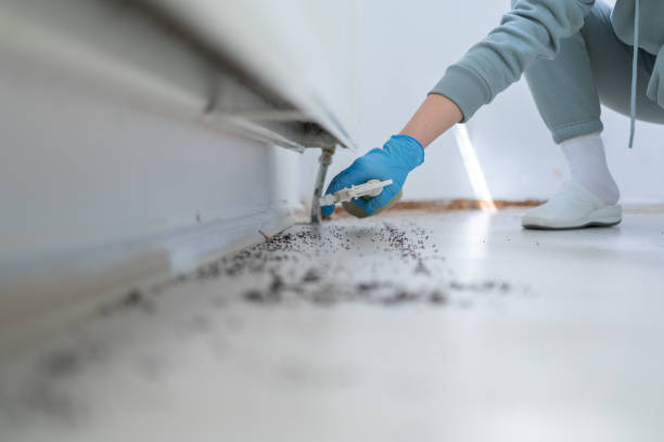 Best Best Pest Control Companies  in Woods Hole, MA